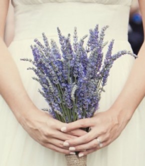 Свадебная палитра: мятный, лавандовый и баклажановый + бесплатные шаблоны Save The Date Свадебная палитра: мятный, лавандовый и баклажановый + бесплатные шаблоны Save The Date