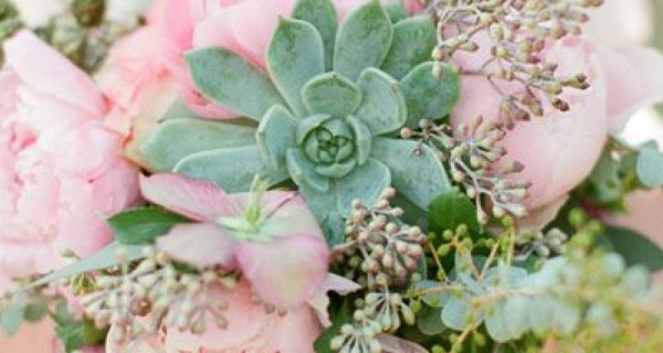 20 идей использования суккулентов на свадьбе 20 идей использования суккулентов на свадьбе