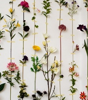 Мастер-класс: как сделать недорогой, но стильный бэк для свадебной церемонии Мастер-класс: как сделать недорогой, но стильный бэк для свадебной церемонии