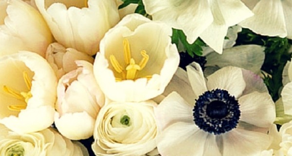 Невесты из Москвы! Кастинг на Свадебное преображение Prosvadby.com + BarbaraArt Event Design Невесты из Москвы! Кастинг на Свадебное преображение Prosvadby.com + BarbaraArt Event Design