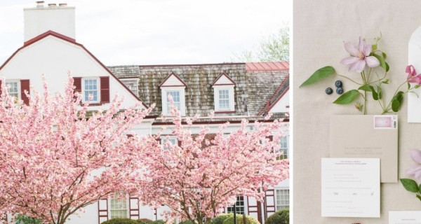 Свадебная палитра: розовый вишневый цвет, светло-пурпурный, марсала, миндальный и весенний зеленый + бесплатный макет свадебной полиграфии от студии MY LOVE Свадебная палитра: розовый вишневый цвет, светло-пурпурный, марсала, миндальный и весенний зеленый + бесплатный макет свадебной полиграфии от студии MY LOVE