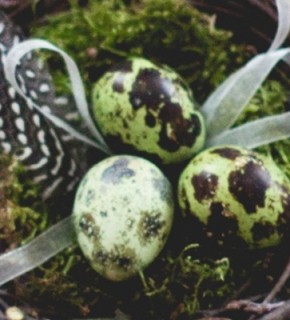 Мастер-класс: как сделать гнездышко для обручальных колец в рустикальном стиле Мастер-класс: как сделать гнездышко для обручальных колец в рустикальном стиле